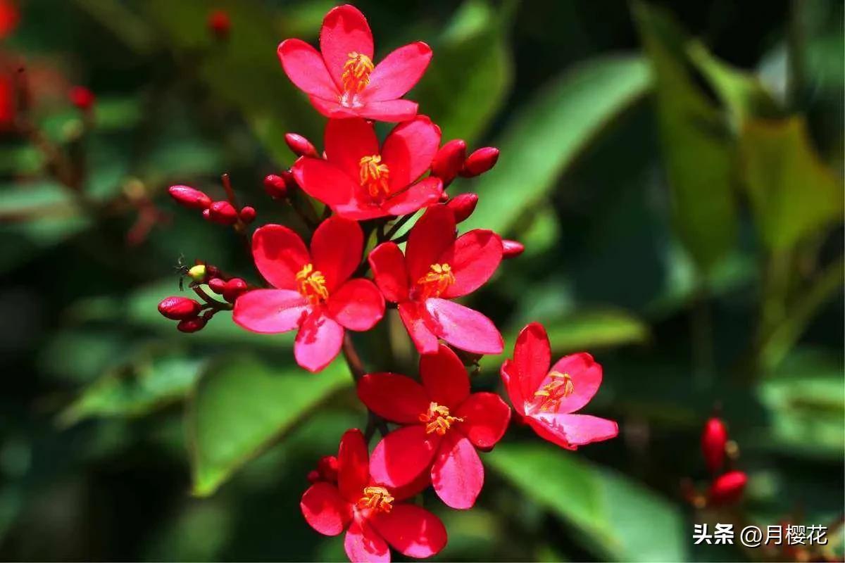 温柔励志的早安文案，相信自己，成就未来(图1)