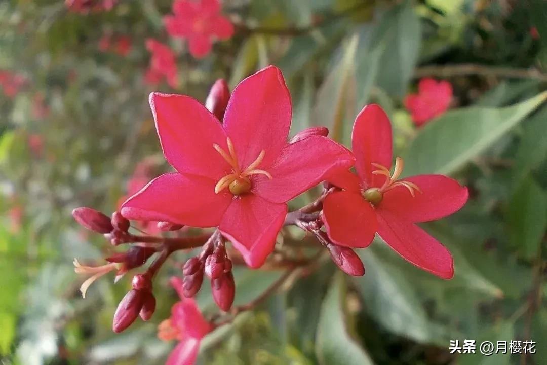 温柔励志的早安文案，相信自己，成就未来(图2)