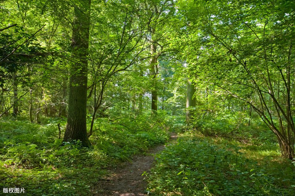 老师熬夜整理的优美比喻句、拟人句、排比句大全，写作很实用(图6)