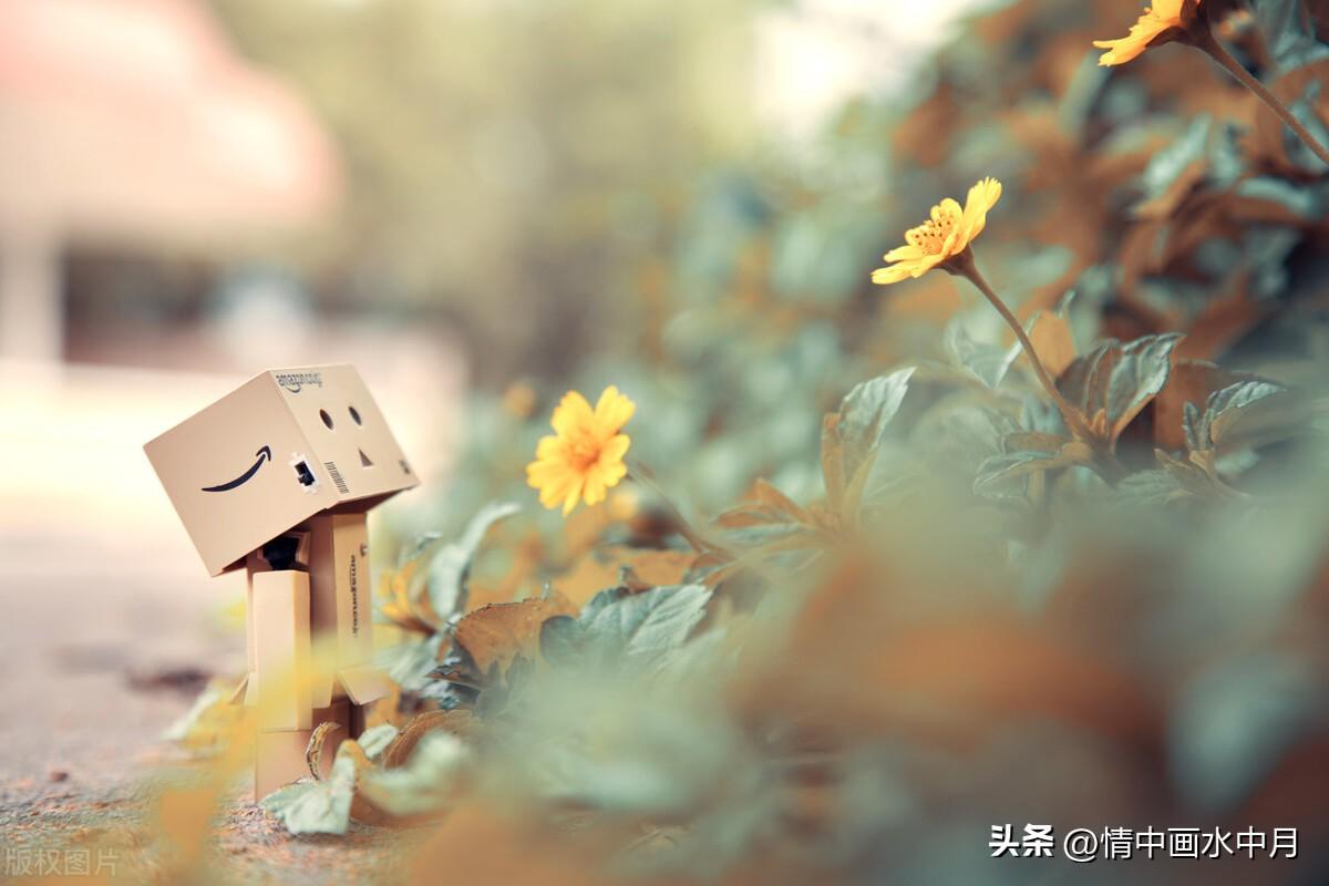 霸道高冷的个性说说，简短精辟，别具一格！(图3)