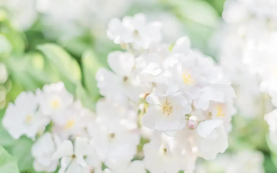 关于激励学习的句子70条经典语录大全(图3)