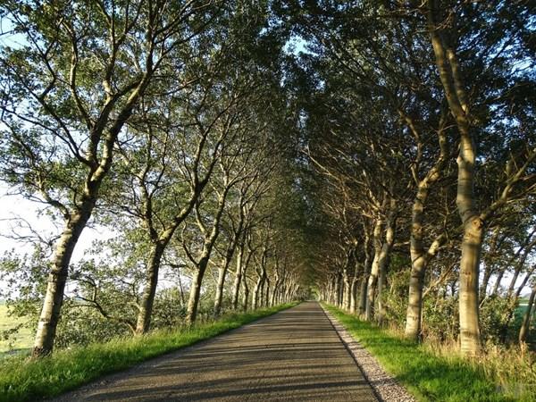 阳光励志的人生句子：愿时光不负努力，青春不负自己(图4)