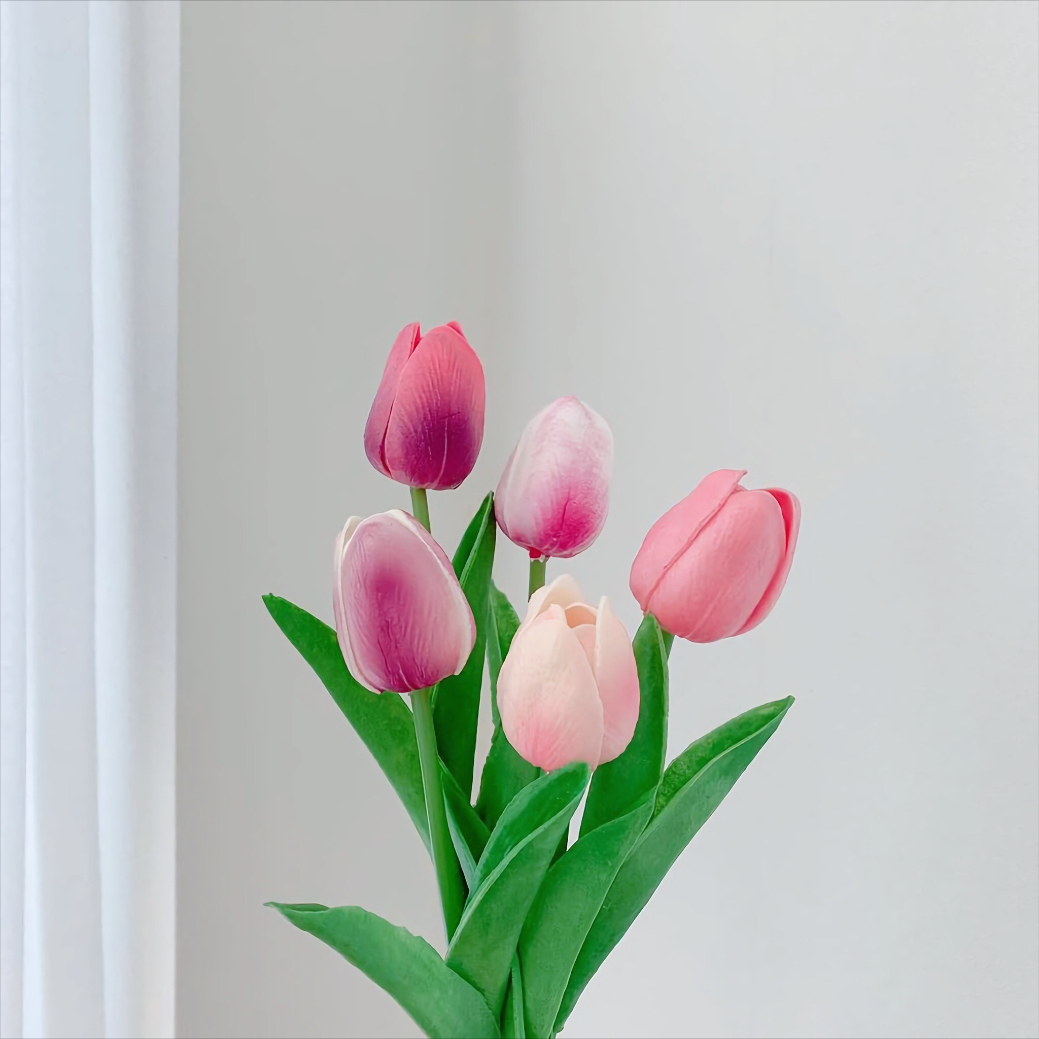 温暖又别致的祝福文案(图8)