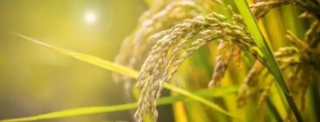 2022年秋天致自己的积极励志文案，霸气的自我宣言，正能量的说说(图2)