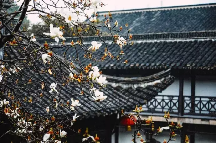 十首思乡诗词，送给在他乡的你(图1)