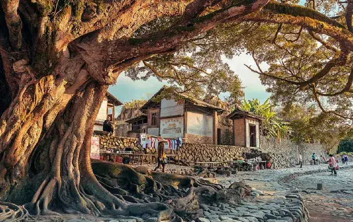 十首思乡诗词，送给在他乡的你(图2)