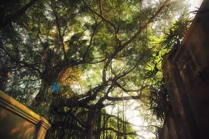 十首思乡诗词，送给在他乡的你(图7)