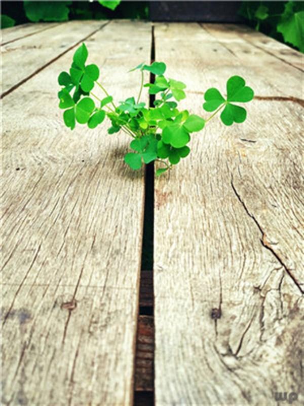 致自己的几句励志说说，简短有气质，你中意哪一句话(图2)