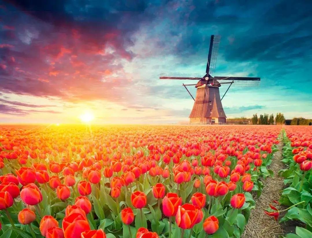 岁月如歌，时光轻浅，愿你我皆安(图4)