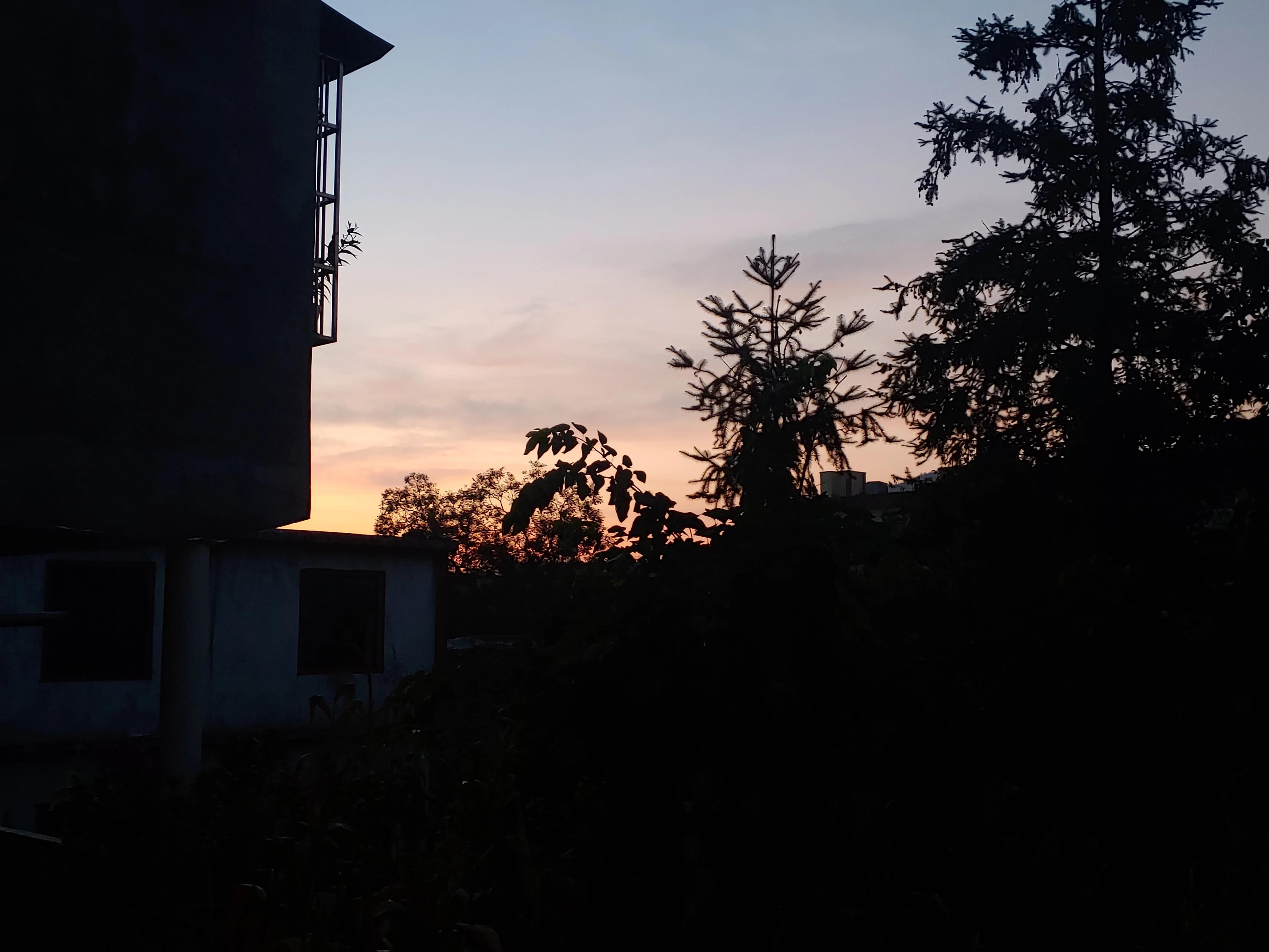 那些陪你度过低谷期的句子(图2)