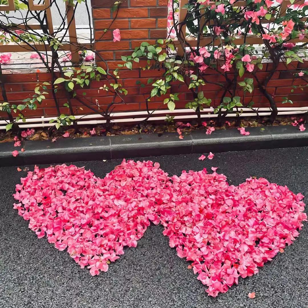 说进你心坎意难平的文案句子：我以为我真心付出，就不会被对不起(图6)