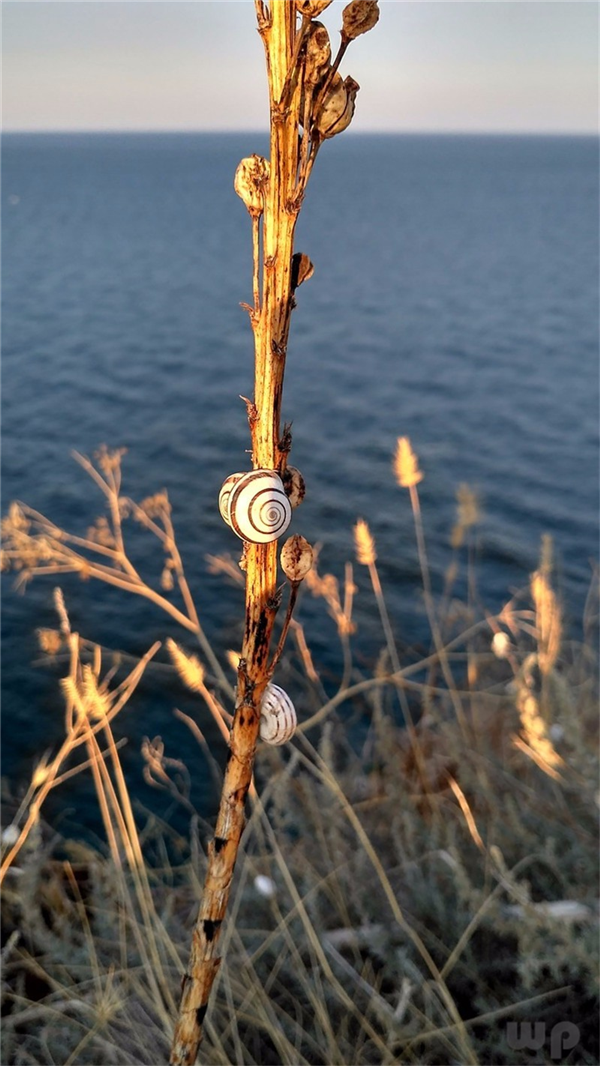 适合发朋友圈的温柔句子：你闪闪发光的同时 也要平平安安(图2)