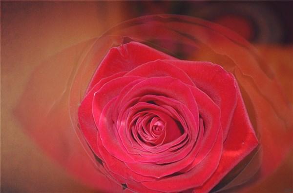 适合发朋友圈的温柔句子：你闪闪发光的同时 也要平平安安(图4)