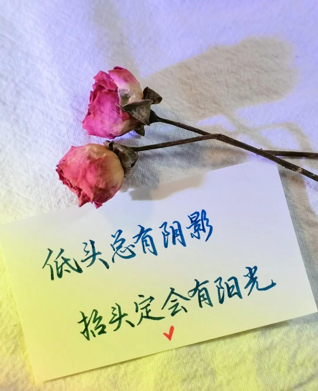 励志语录 低头总有阴影，抬头定会有阳光，尽管努力，剩下交给时间(图2)