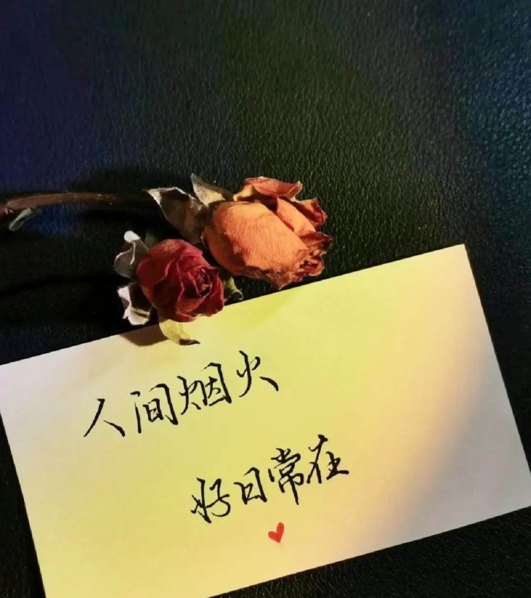 励志语录 低头总有阴影，抬头定会有阳光，尽管努力，剩下交给时间(图6)