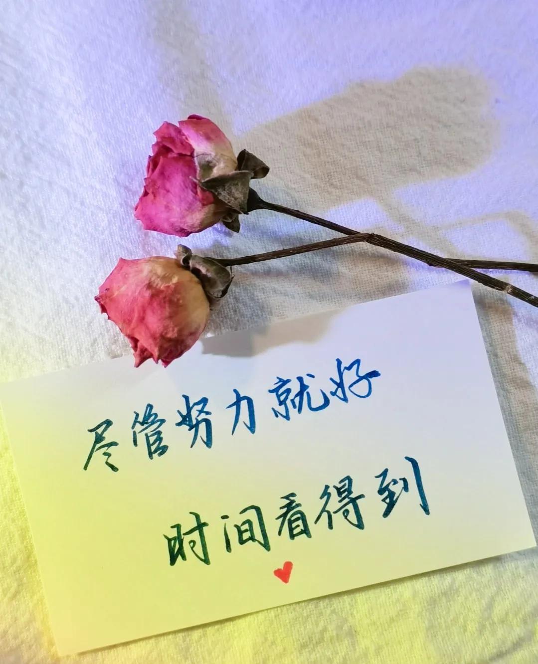 励志语录 低头总有阴影，抬头定会有阳光，尽管努力，剩下交给时间(图9)