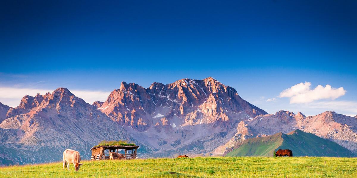 三毛的10句暖心语录，照亮你的一天，说出人生真谛(图2)