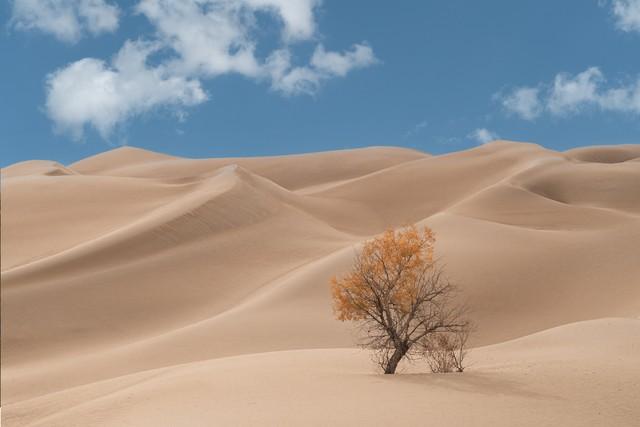 平淡的日子，淡泊了流年，宁静的岁月，梳理着沧桑(图1)
