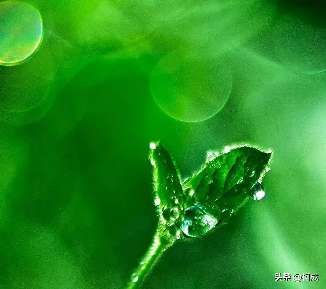 19句经典语录，点亮人生旅途(图1)