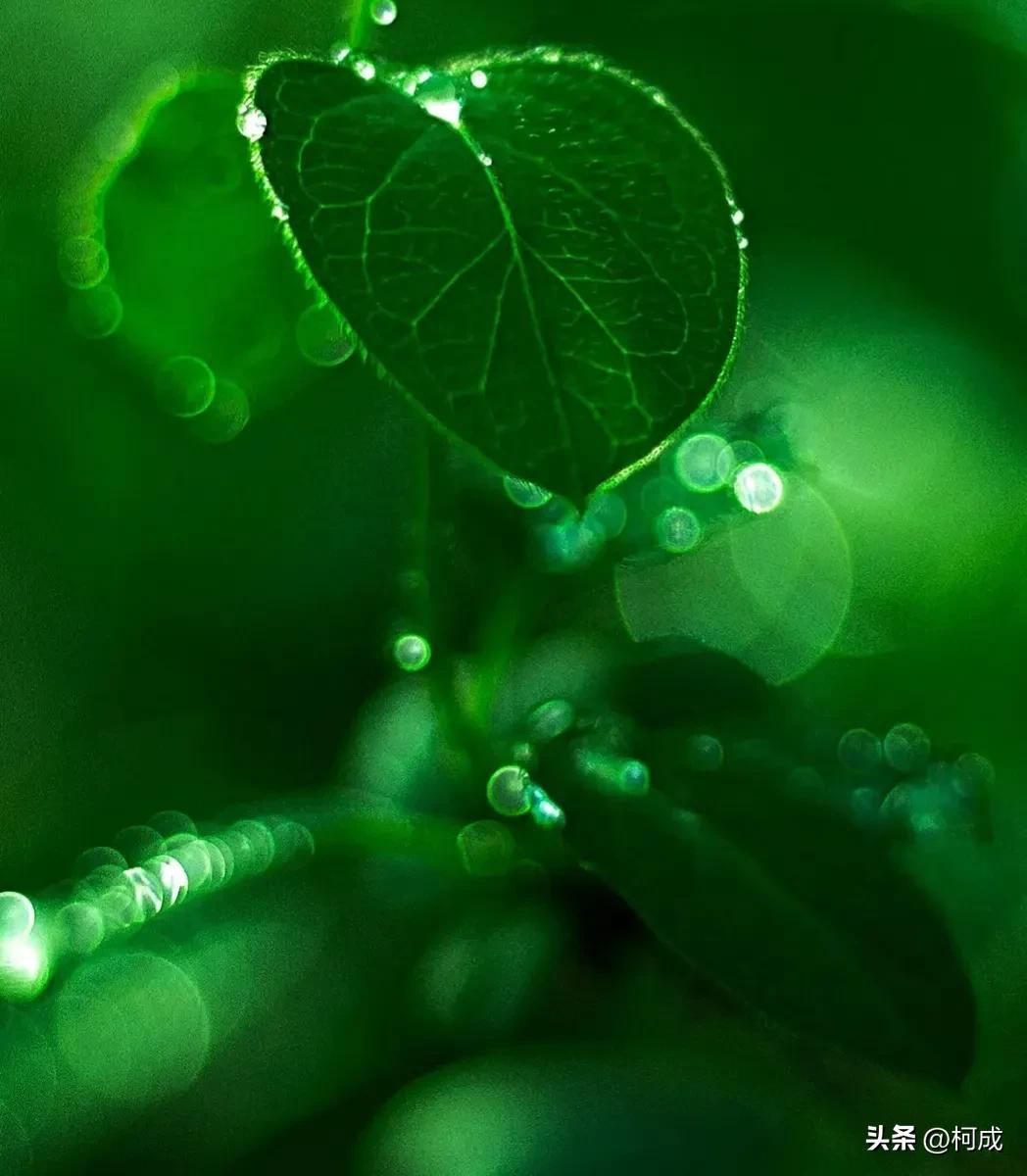 19句经典语录，点亮人生旅途(图2)