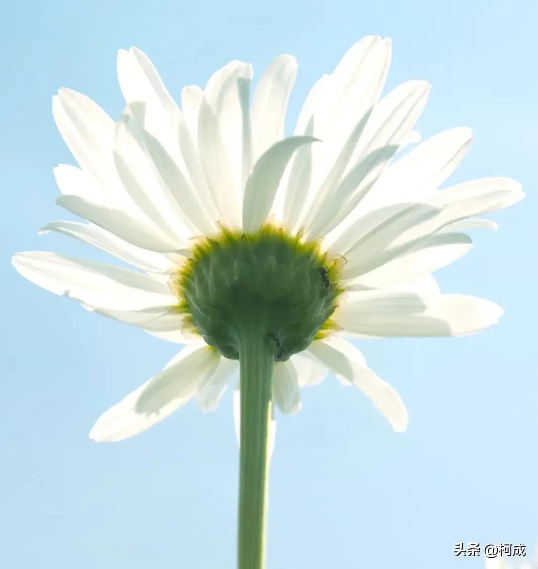 19句经典语录，点亮人生旅途(图3)