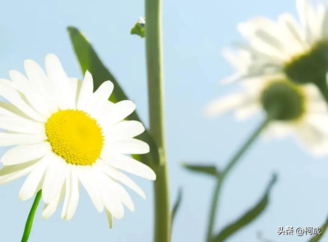 19句经典语录，点亮人生旅途(图4)