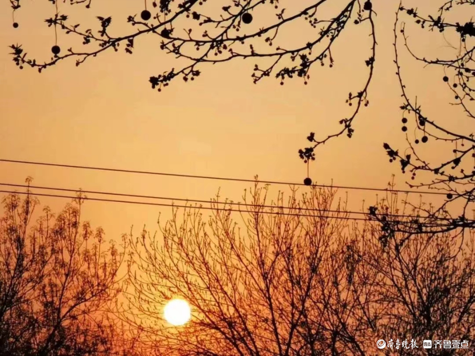 向阳而行｜夕阳之美(图3)