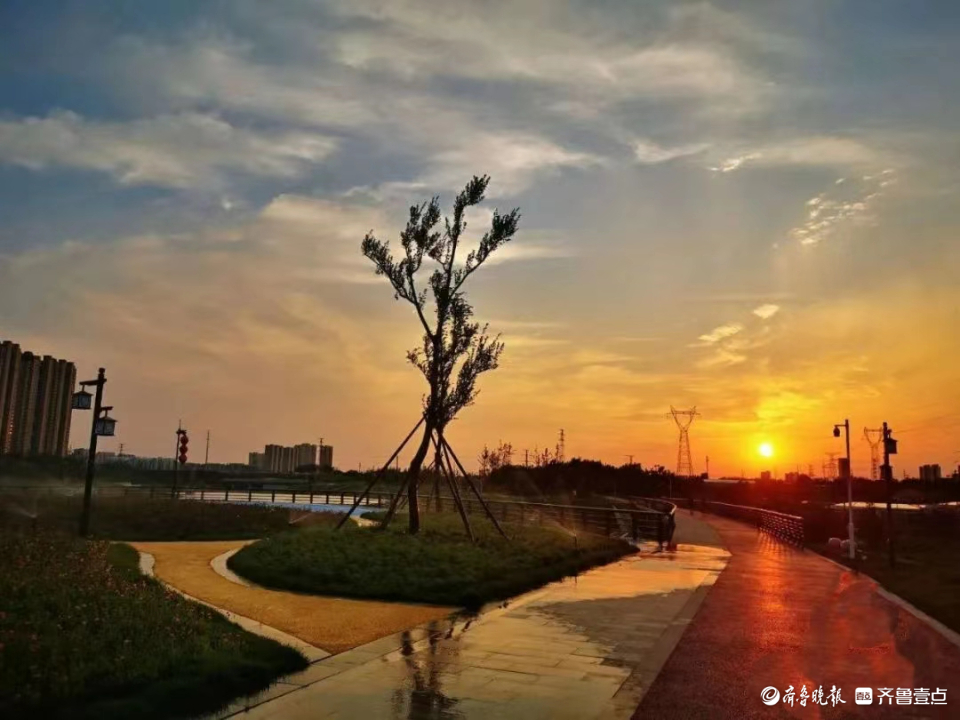 向阳而行｜夕阳之美(图5)