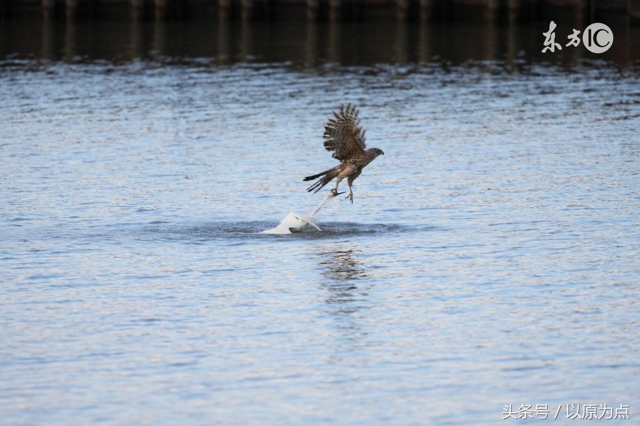 42句催人向上，使人奋发图强的的句子，哪一句给你的能量最大？(图3)