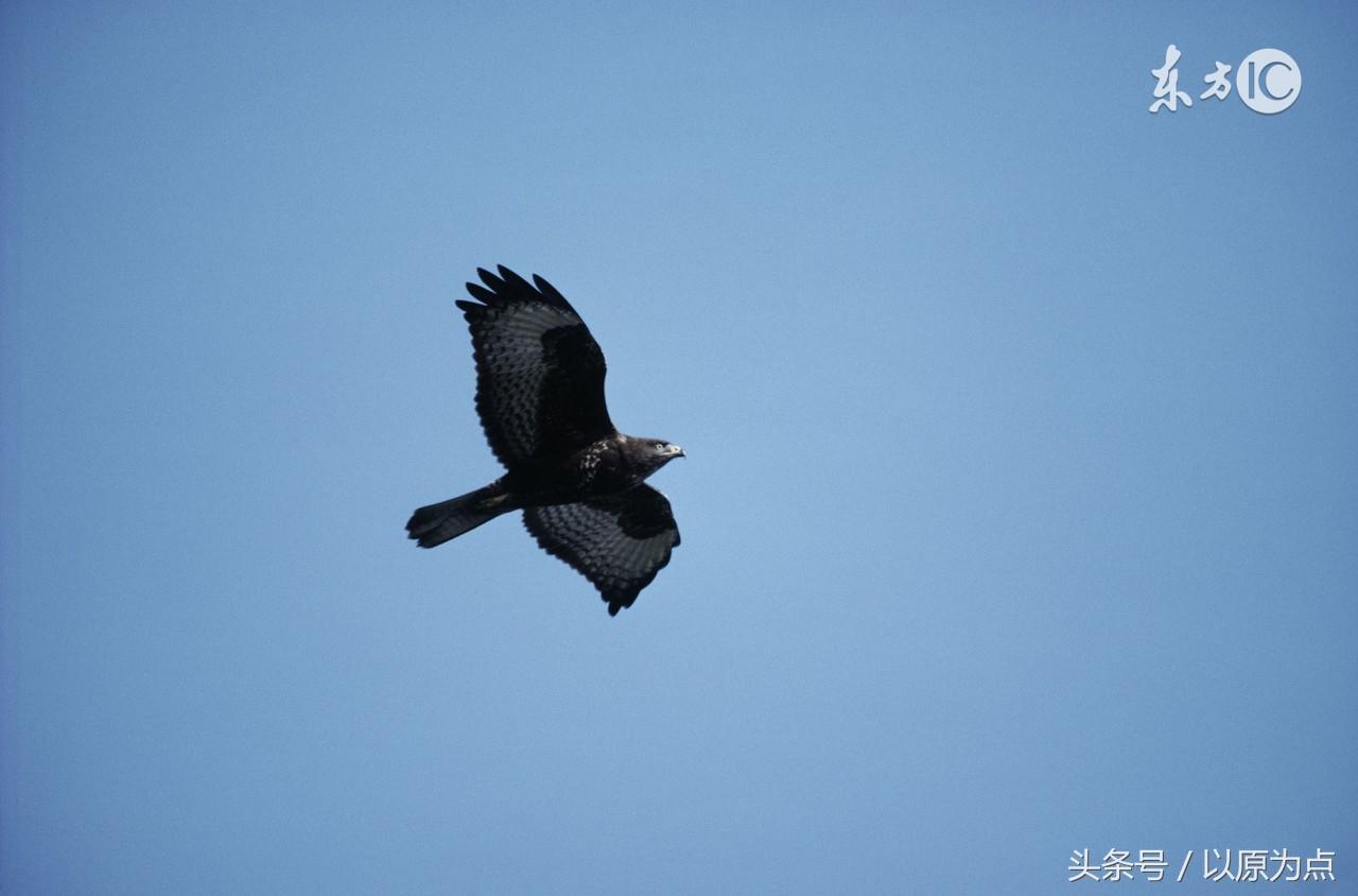 42句催人向上，使人奋发图强的的句子，哪一句给你的能量最大？(图5)