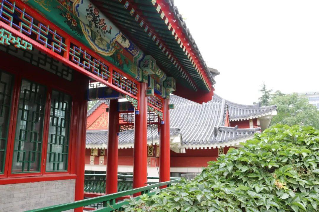 《红楼梦》最经典8句话，最好背下来！(图2)