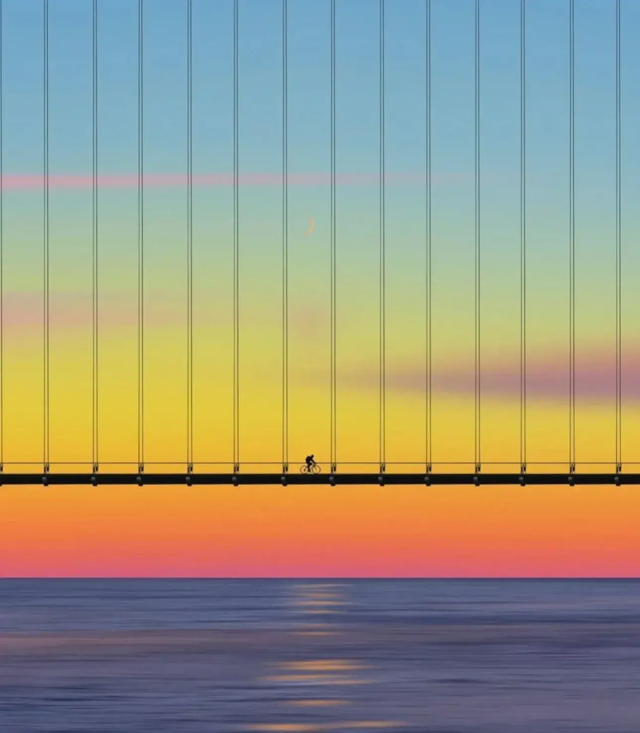 离职了，2023上半程最好的告别(图1)