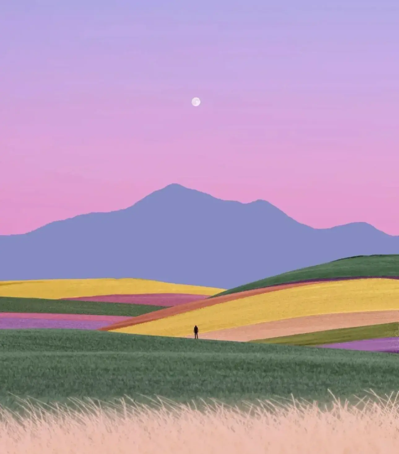 离职了，2023上半程最好的告别(图2)