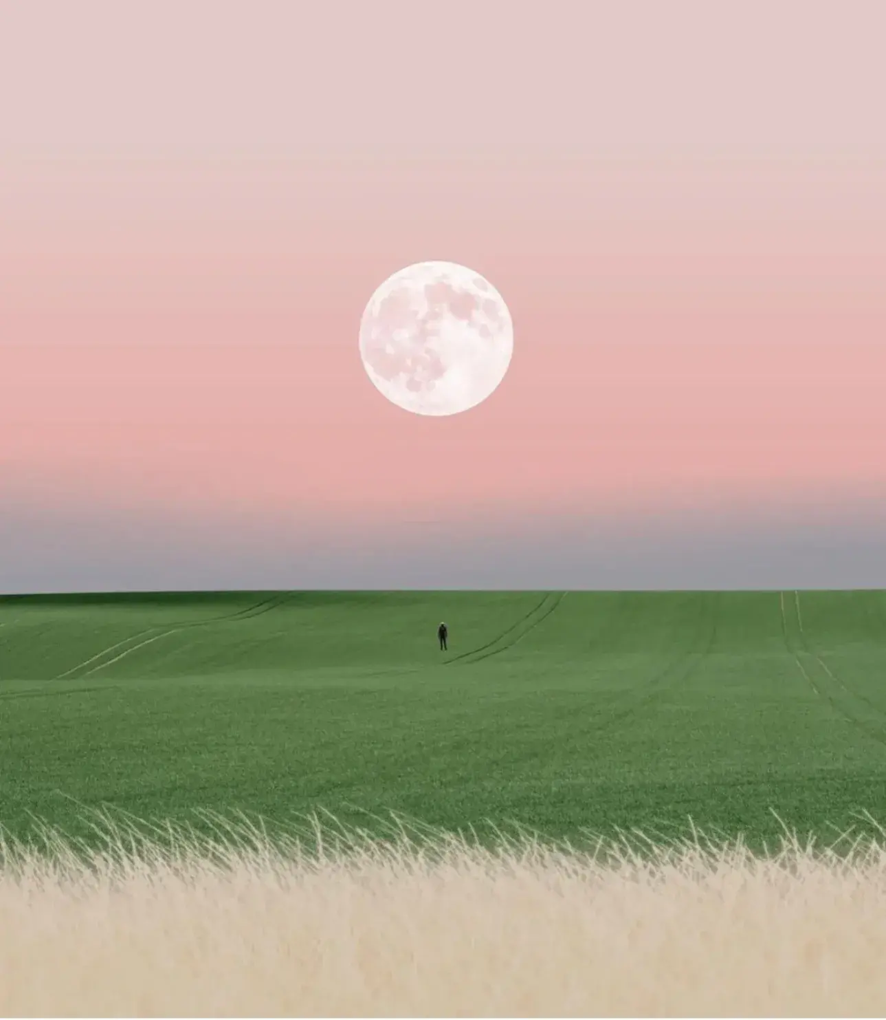 离职了，2023上半程最好的告别(图4)