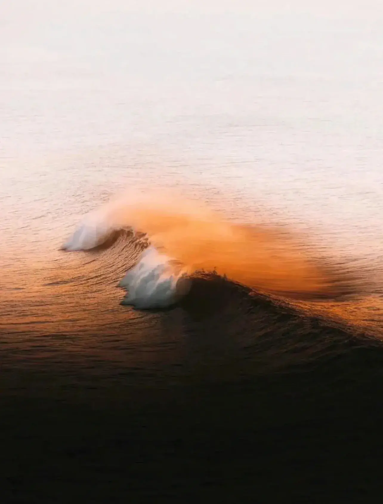 离职了，2023上半程最好的告别(图6)