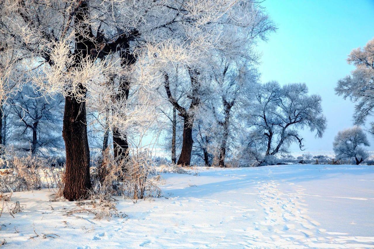 10首唯美冬日小诗，短到极致，美到极致(图2)