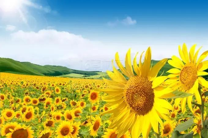 今天的不开心就到此为止，明天依旧光芒万丈(图5)