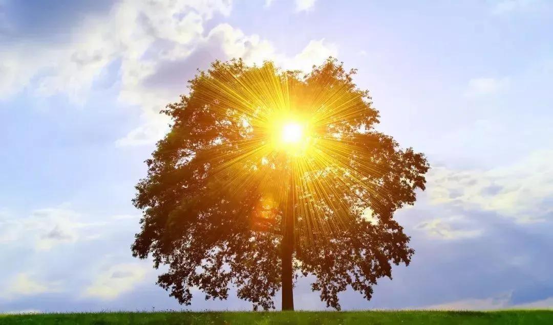 最美的事情就是遇见你，阳光(图3)