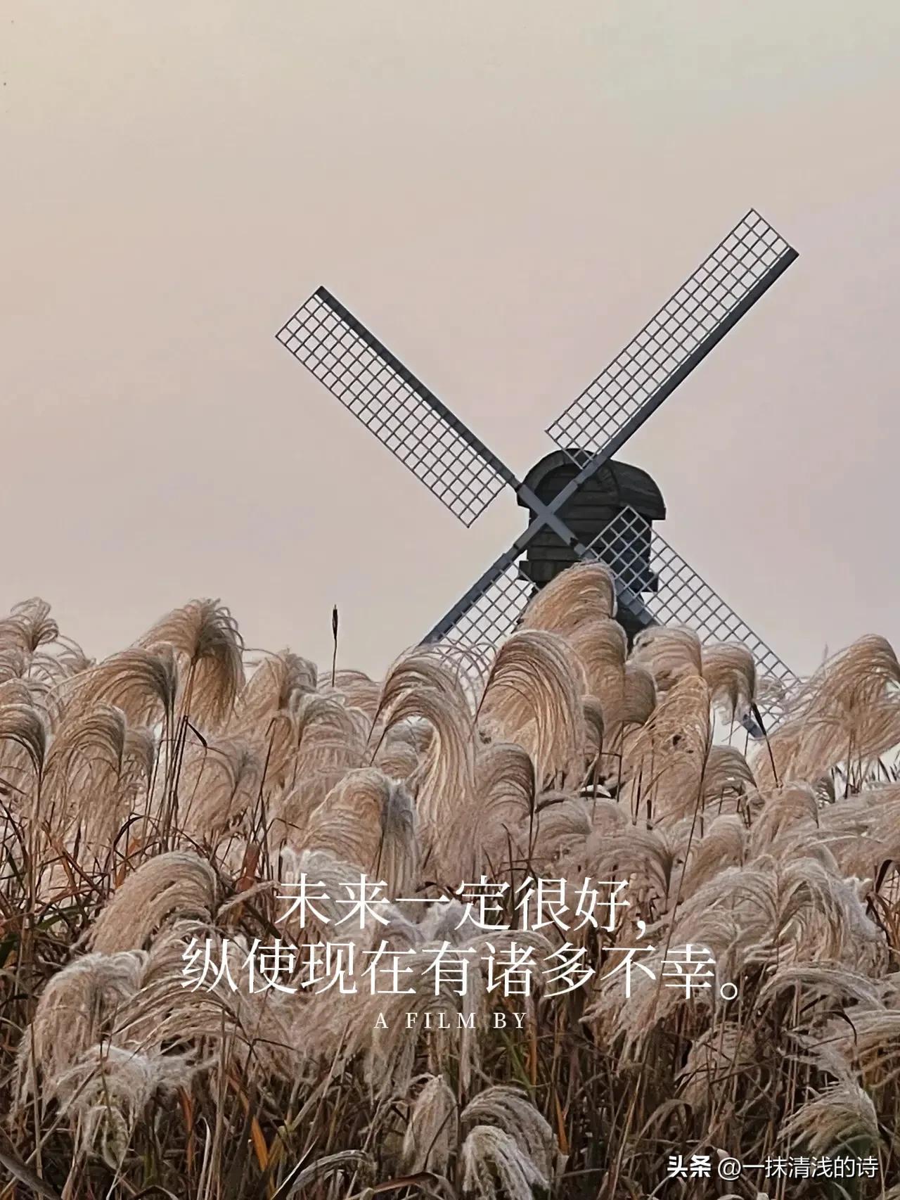 战胜疫情的暖心句子——让我们用自己的方式，为抗击疫情加油打气(图2)