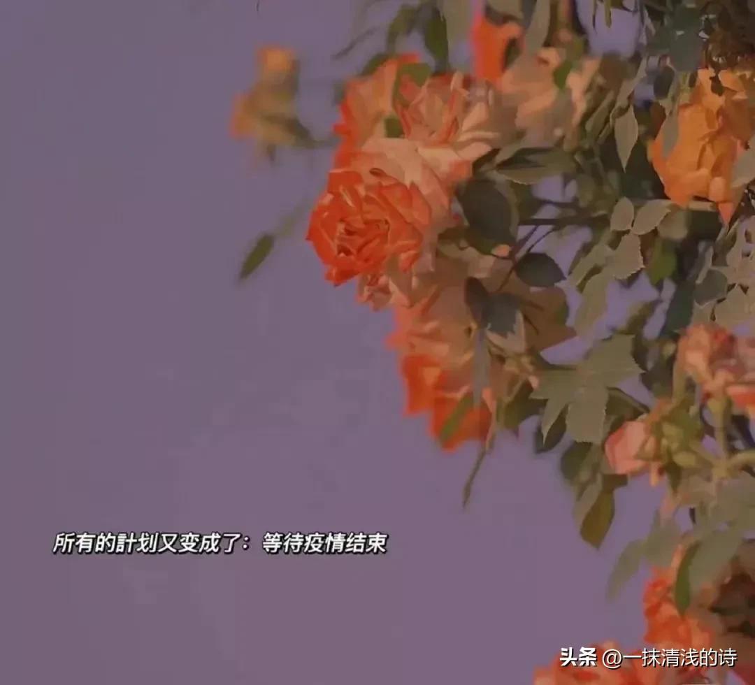 战胜疫情的暖心句子——让我们用自己的方式，为抗击疫情加油打气(图3)