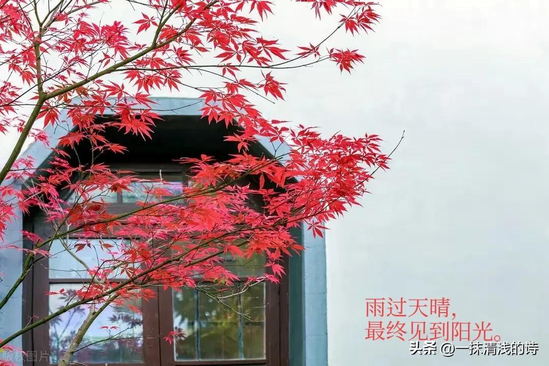 战胜疫情的暖心句子——让我们用自己的方式，为抗击疫情加油打气(图4)