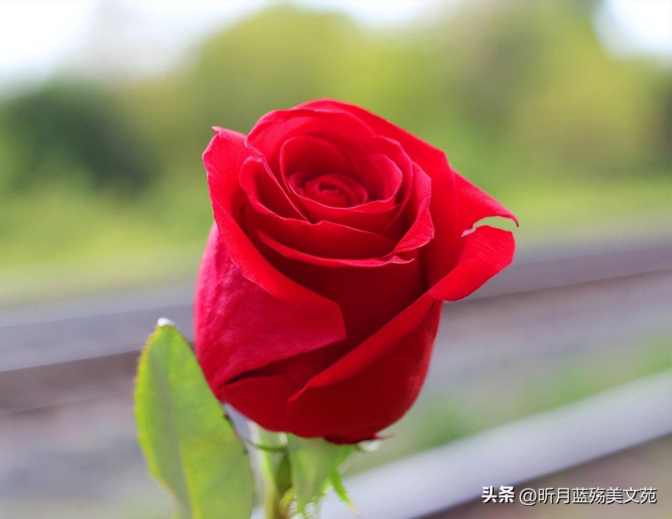 愿你内心不染尘埃，与所有美好相遇(图1)