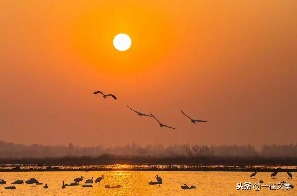 文言文中的巅峰之作，十大名句(图4)