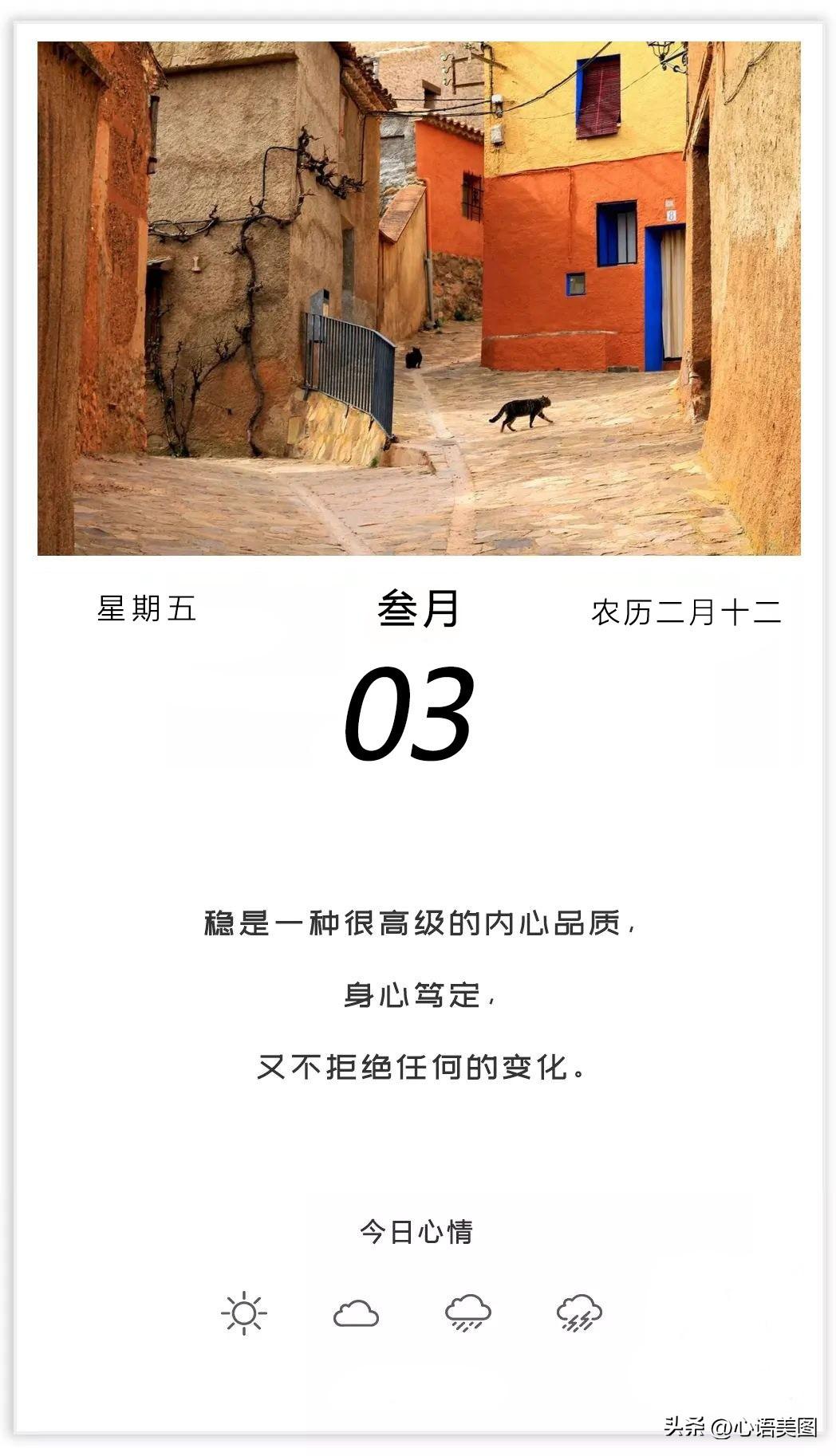 正能量早安心语图片文案：坚持不懈，等待那一场破茧的美丽(图3)