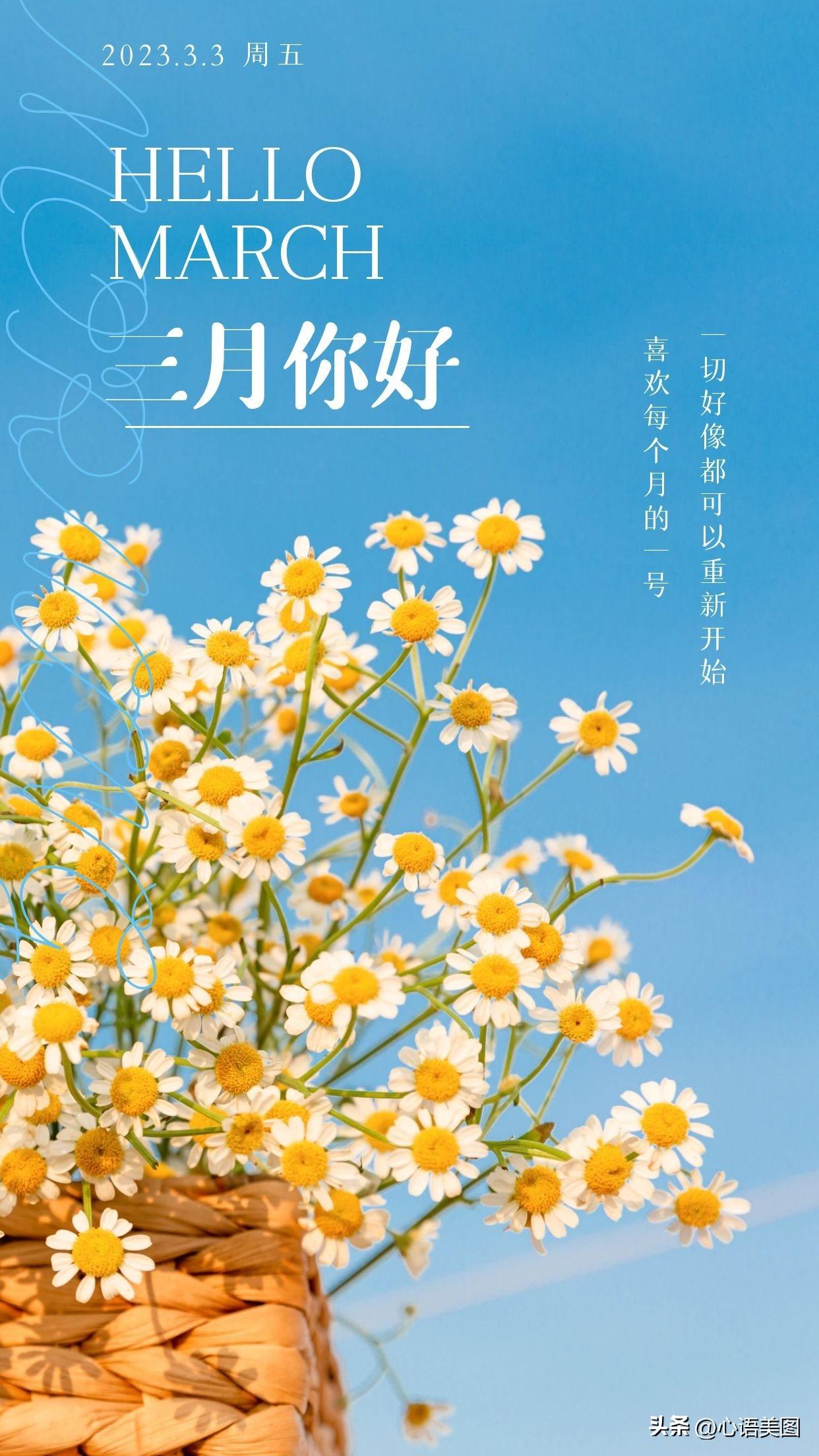 正能量早安心语图片文案：坚持不懈，等待那一场破茧的美丽(图4)