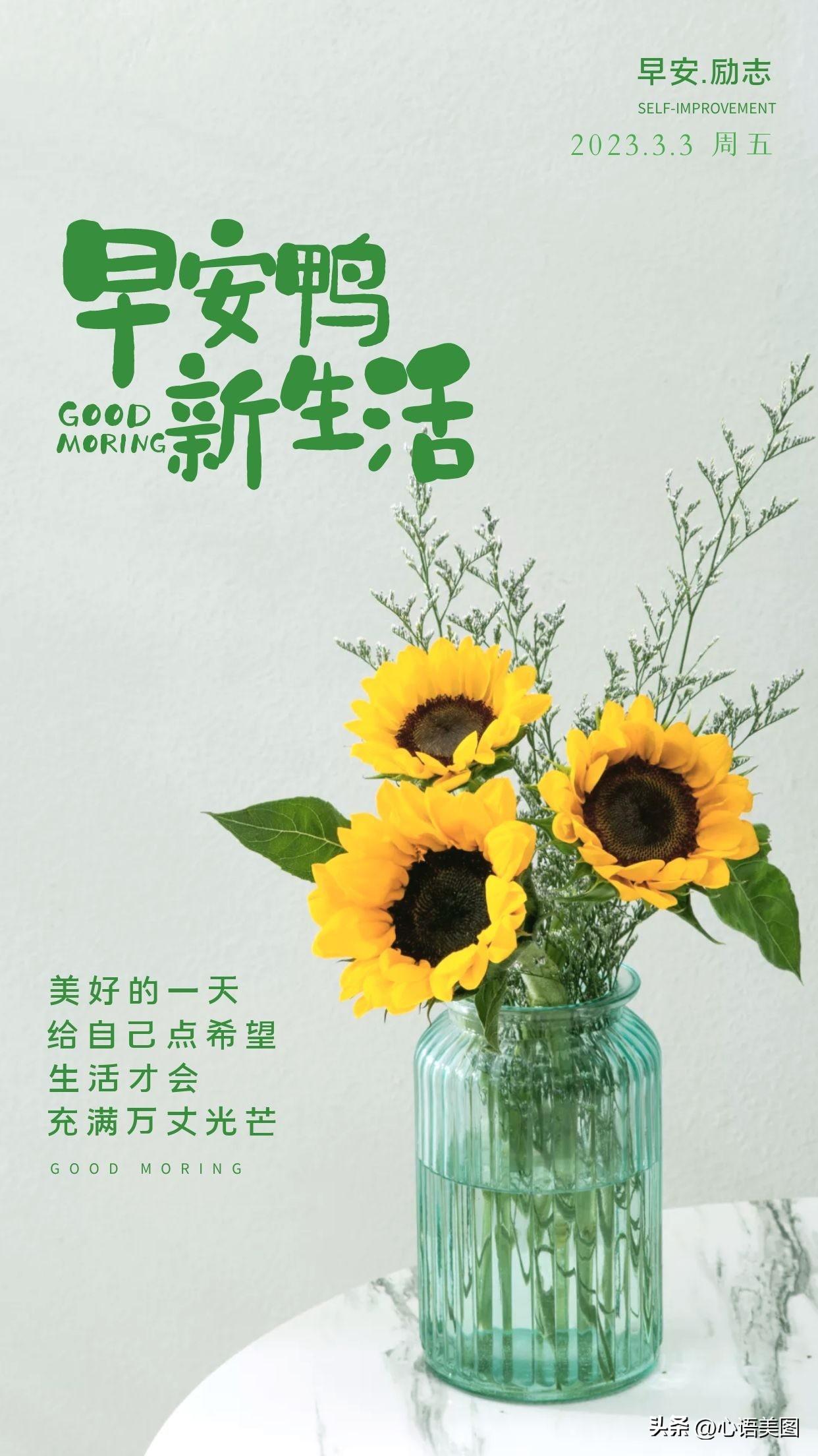 正能量早安心语图片文案：坚持不懈，等待那一场破茧的美丽(图5)