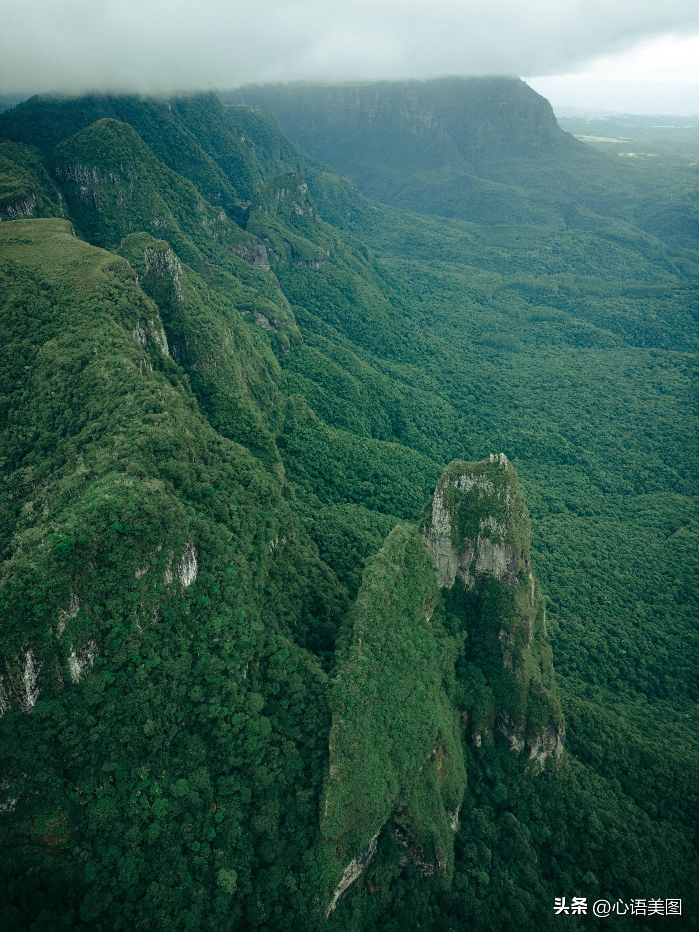 正能量早安心语图片文案：坚持不懈，等待那一场破茧的美丽(图6)