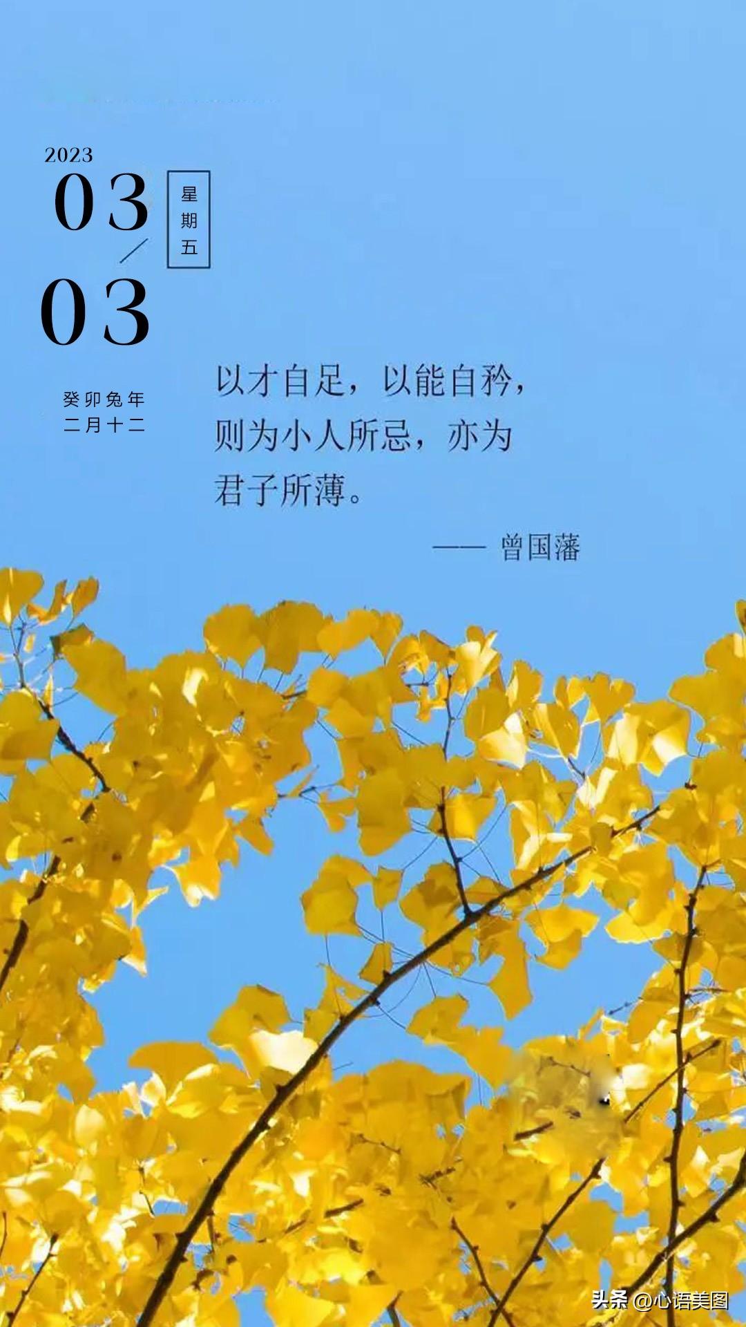 正能量早安心语图片文案：坚持不懈，等待那一场破茧的美丽(图9)