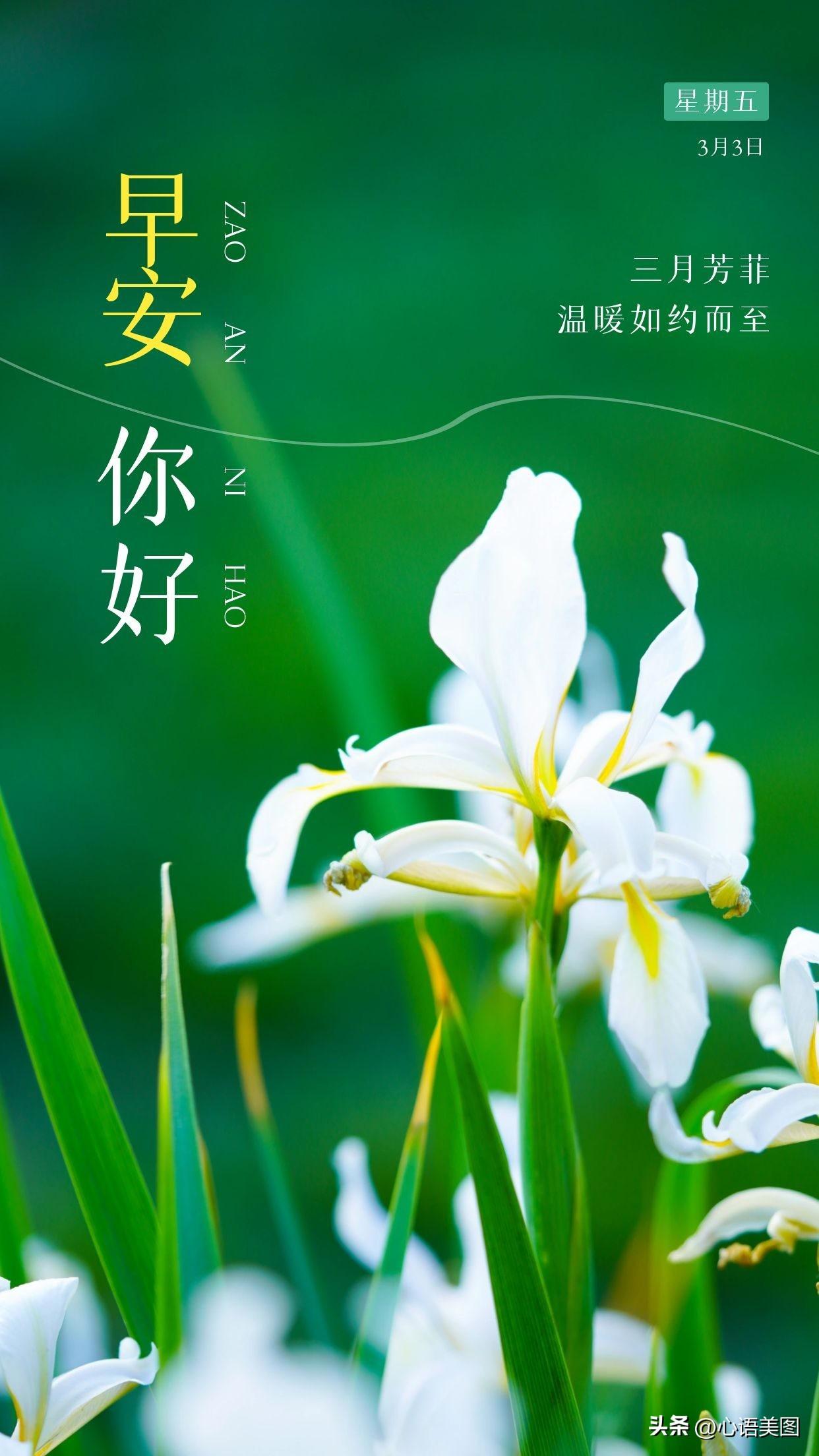 正能量早安心语图片文案：坚持不懈，等待那一场破茧的美丽(图10)