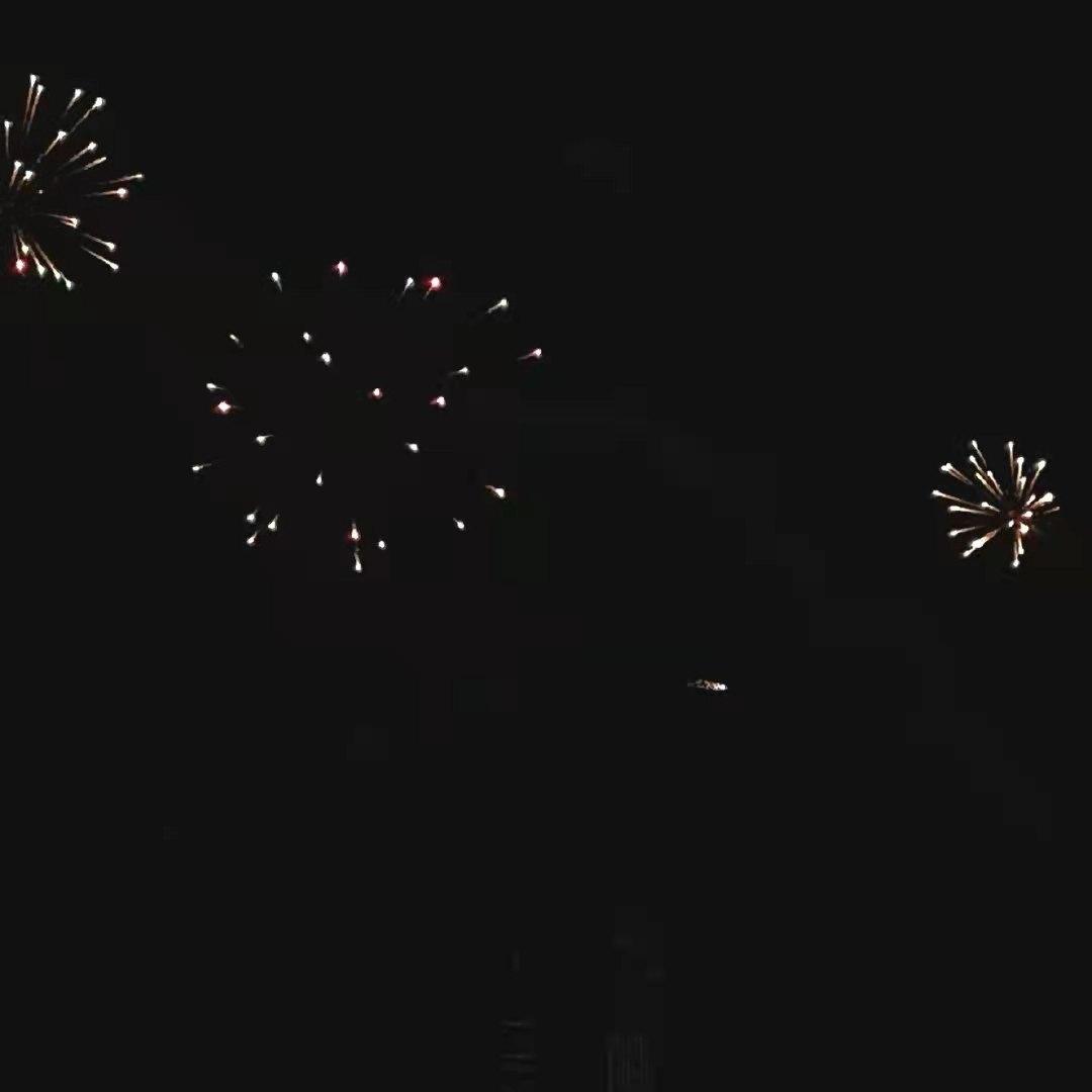 伤感文案｜蓝桉已遇释槐鸟 青鹧也应释怀(图2)